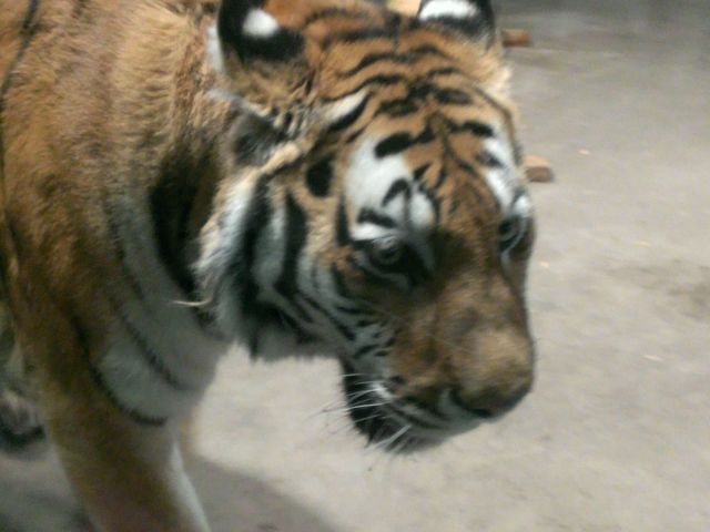 �~�R������