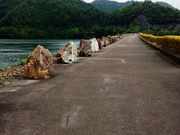 kyoko̍쉷?l̓?̓eʐ^2