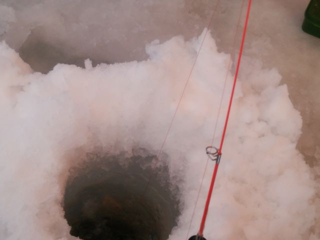 �J���T�M�ނ���֓��A������͂Ȃ��Ȃ��E�E�E_���y�_��