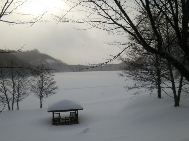 �P���A�΂͕X����܂����B�ጴ�̂悤�ł��B_���y�_��