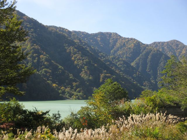 �R���݂����ꂢ�B_�唒��I�V���C