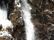 �C���_�C����̖���̑�̓��e�ʐ^1