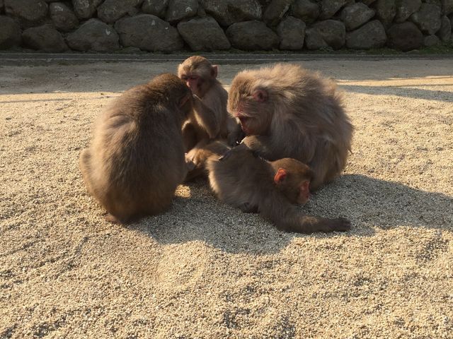 ����R�̉�_���ɂ�܃z�e��