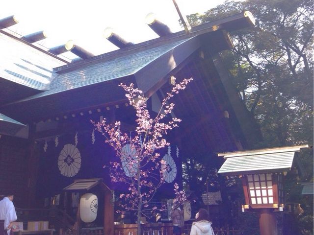 ������_�{