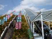 ߋT|~̍ꗢ˂̓eʐ^5