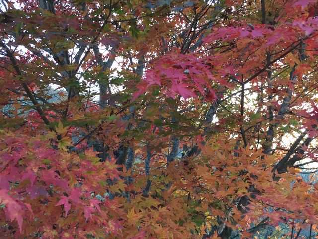 C_C̉̑i쌧v䒬j̓eʐ^3