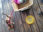 ܂}}̃IveB~Xg̓eʐ^1