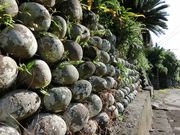 肳̑嗢̋ʐΊ_̓eʐ^2