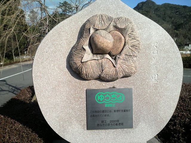 ɂ[B̃}̗𗬊ق̓eʐ^1