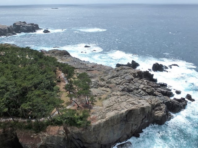 �r�g�ő���ꂽ���R�̌|�p�B_�����