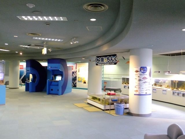 �̌��R�[�i�[_��勴�ˋ��L�O�كG�f�B