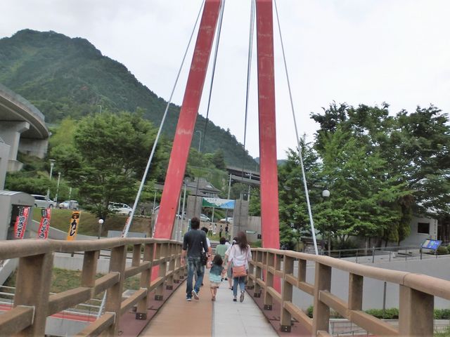 ����n���Ă����܂��B_���̐X