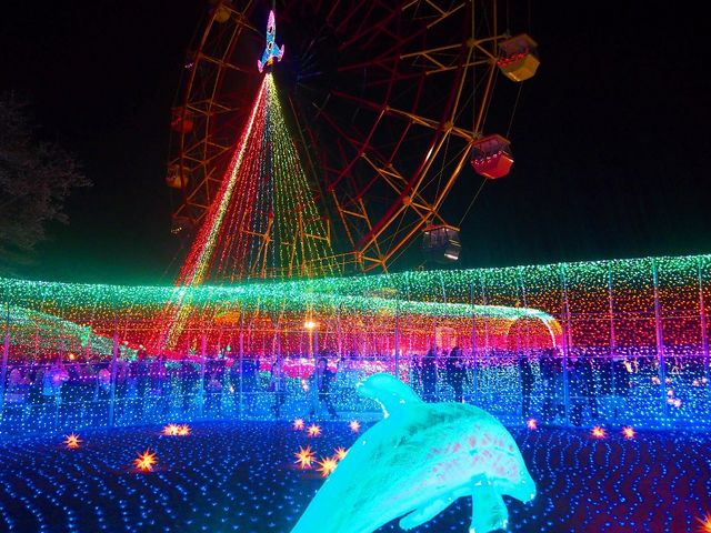 �����h�C�c��