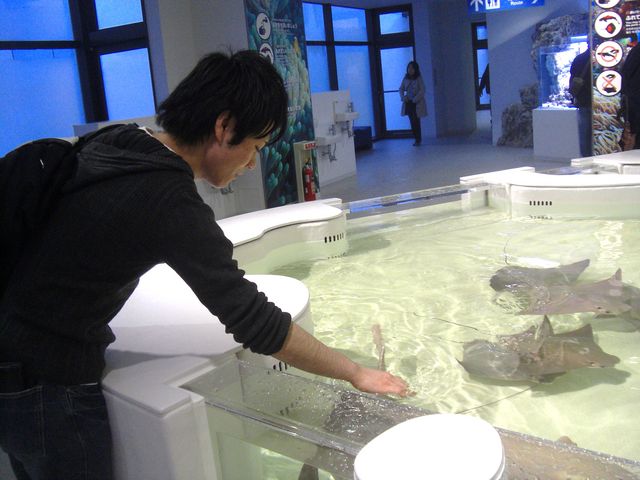 海遊館ミュージアムショップ／海遊館のオリジナルグッズ