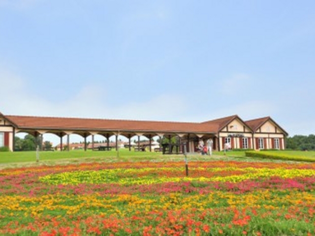 �Ԃ��Y��_�����h�C�c��