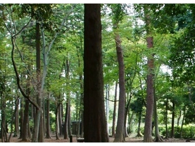 ���̋u����