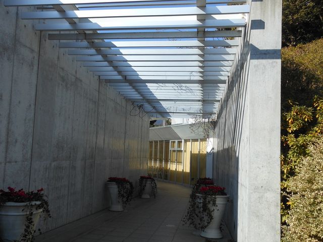 �N���}�`�X�̋u