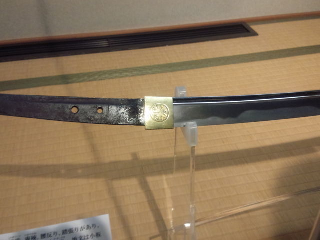 �؂ꂻ�`...._���O���D����������