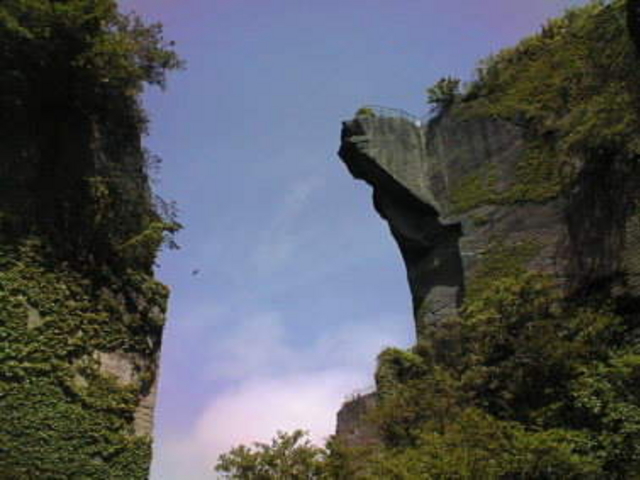 �ǂ����i_���R