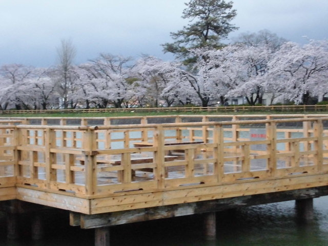 �����Y��_�����V���{�@�������r