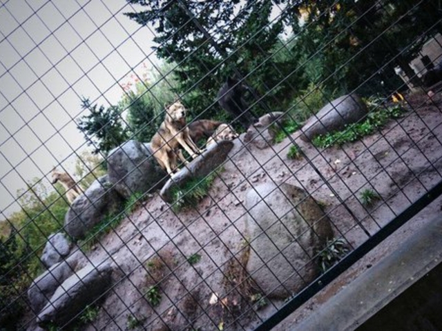 �T_���R������