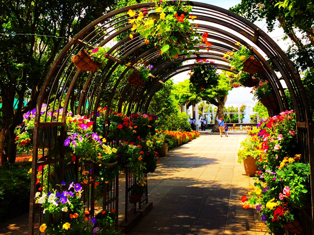 ʏ`100p[Zg̍]̓TGERbLO̓eʐ^1