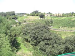 HANA̍䥗΂̃~[WA n[xXg̋uւ̓eʐ^1