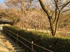 �I�O�䎛�̎ʐ^1