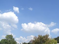 g`m`̍䥗΂̃~[WA n[xXg̋uւ̓eʐ^1