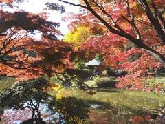 ����J�����̎ʐ^1