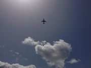 ՂՂՂ񂳂̑㍑ۋ`̓eʐ^1