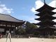 ririさんの興福寺東金堂への投稿写真4