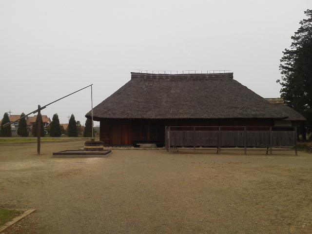 �����w����