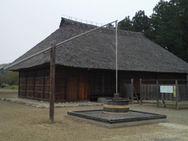 �����w����