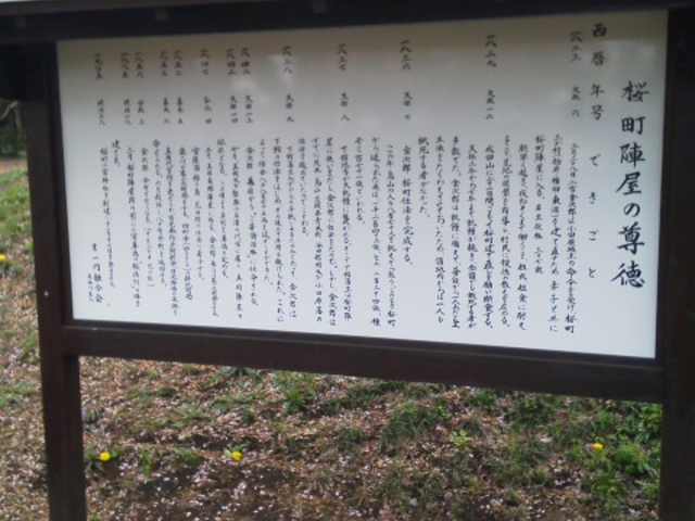 �����w����