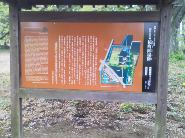 �����w����