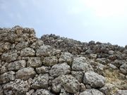 �Ƃ�����񂳂�̋�u���Ղ̓��e�ʐ^1