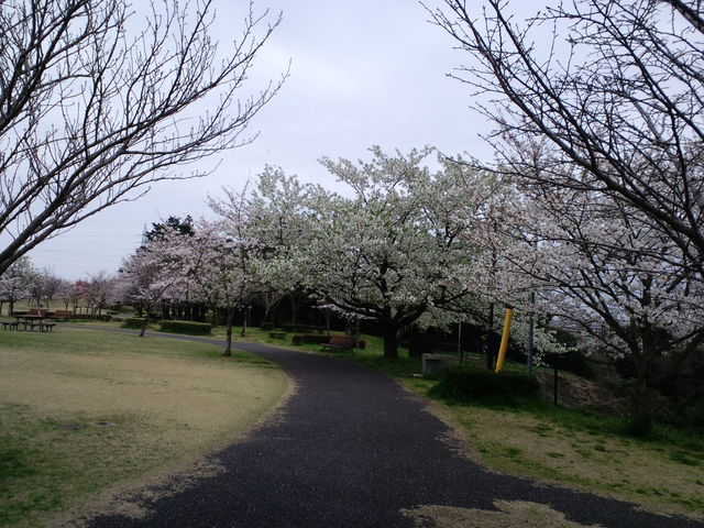 �鎭�t�����[�p�[�N