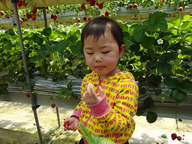 ���̒������n�߂ẴC�`�S��ɗ��܂����B���ł�������H�ׂ܂����B_�@���΂Ԃǂ����