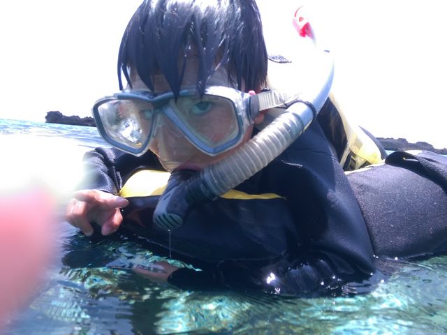 ���q���y����ł܂����B_�C��كV�[�u���[��