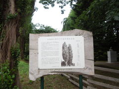 kichi̖k|v؂ւ̓eʐ^1