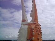 `񂳂̓̉w Iz[cNʂ̓eʐ^1