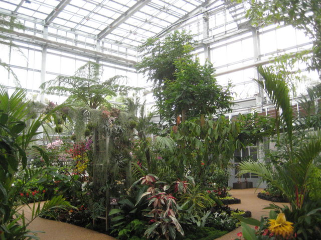 ���̗l�q_�����M�ѐA����