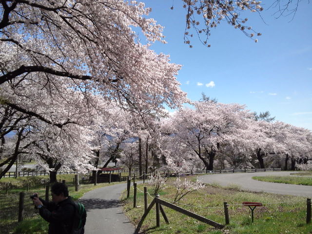 �������̍�����_�ɍ��ۃO���[���q��