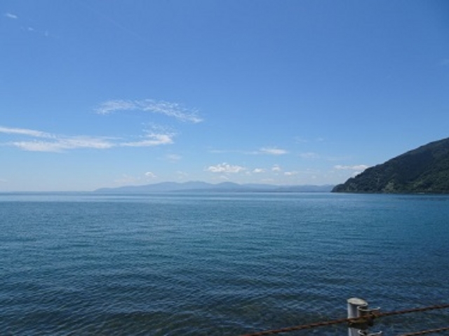 �p�[�}�E�F�C�����_�����i�΃p�[�N�E�F�C