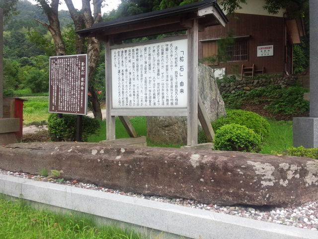 ǂ񂳂̒ߎi㎛j̓eʐ^2