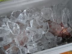 Hiyoko̊Cޖx@ނ̓Cւ̓eʐ^1