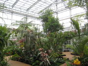 񂿂񂳂̐MѐA̓eʐ^1