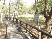 ǂ񂳂̉ۍ̃~YoVE̓eʐ^2