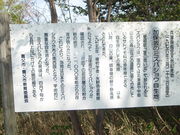 ǂ񂳂̉ۍ̃~YoVE̓eʐ^5